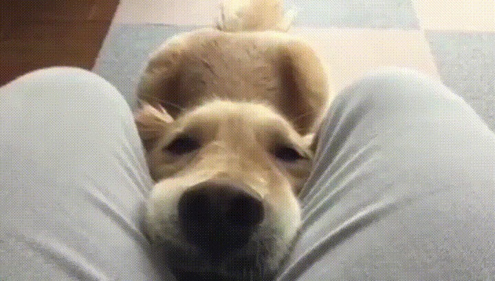 Ну пжста, дай поесть