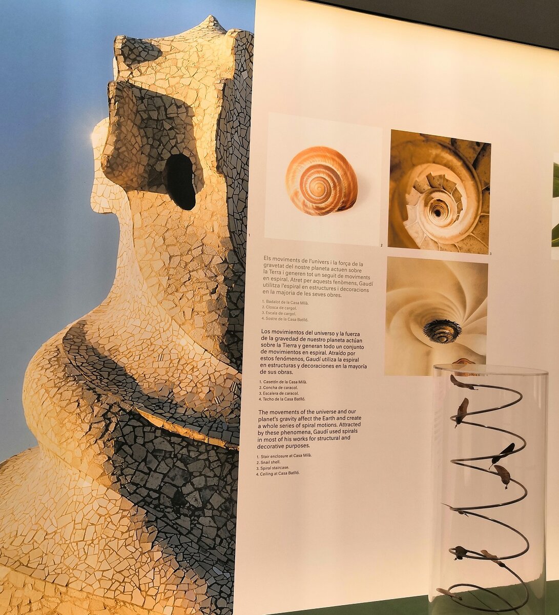 Изящные завитки и спирали - все подсказано природой