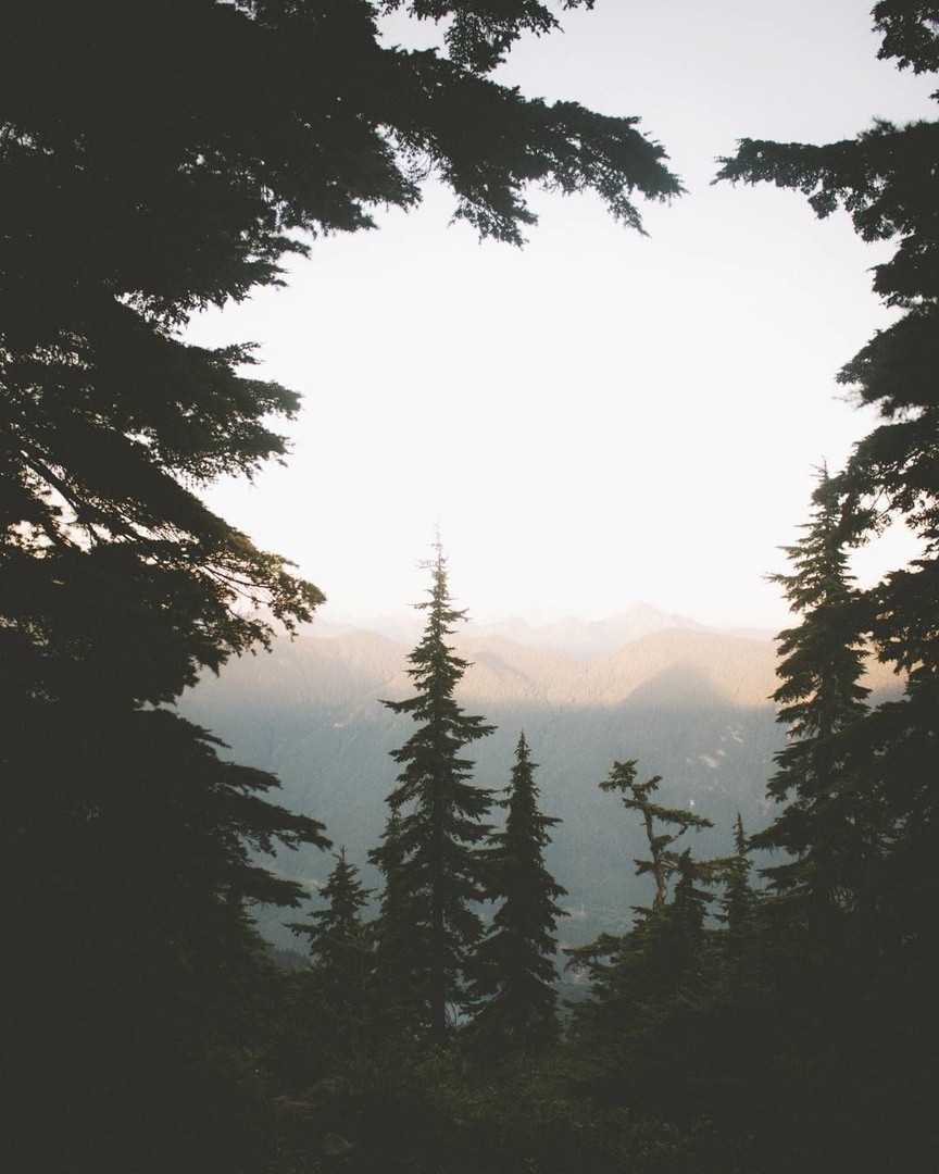 Что звезды приготовили Весам на этой неделе  