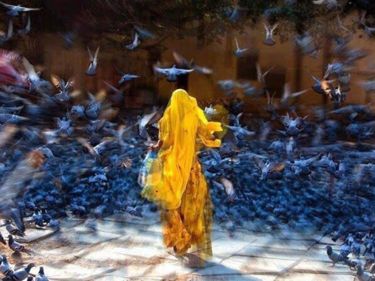 Фото из открытого источника в интернете 