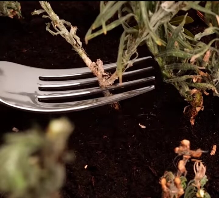 Очень действенный метод.