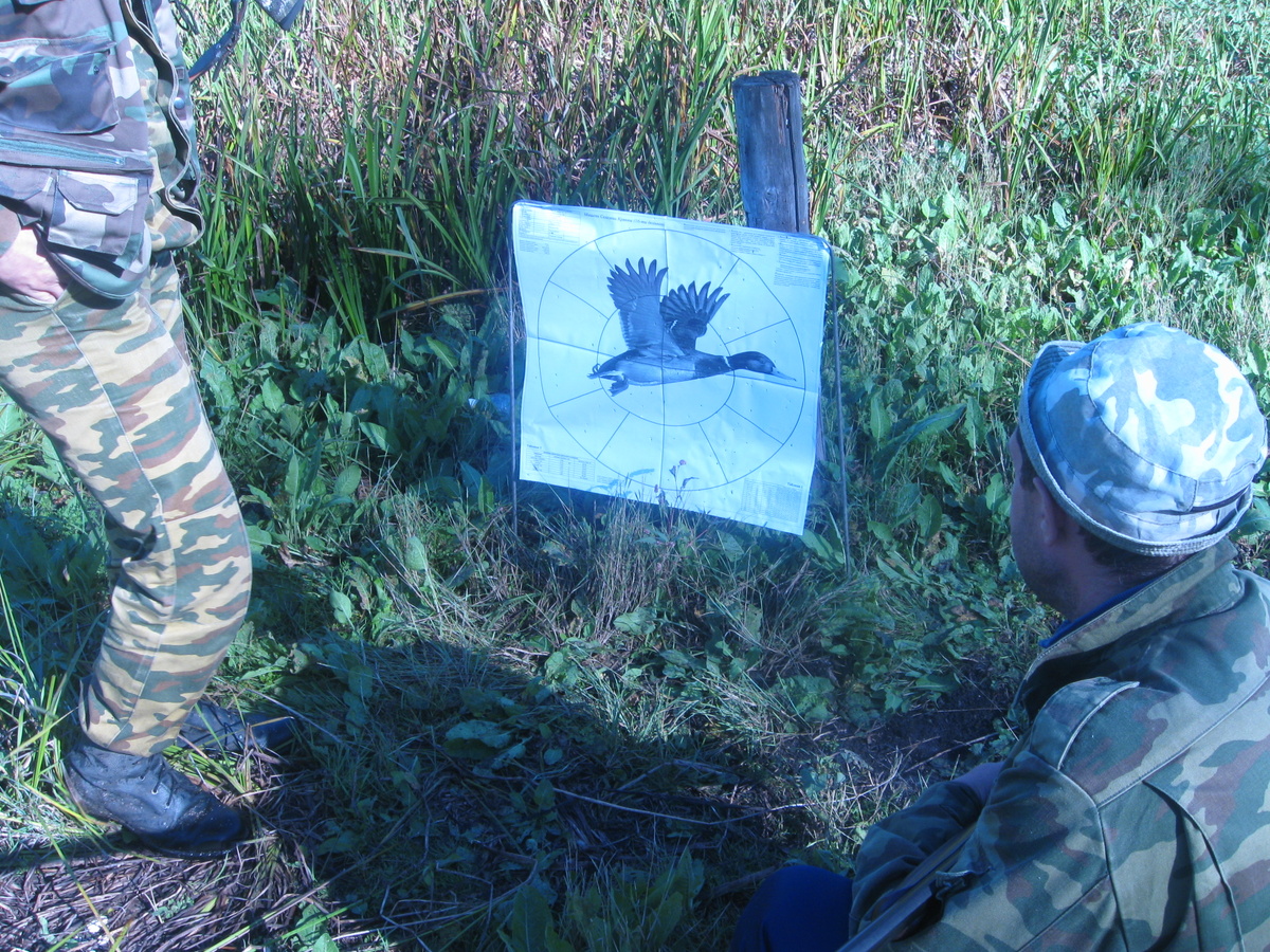 постреляли, посмотрели