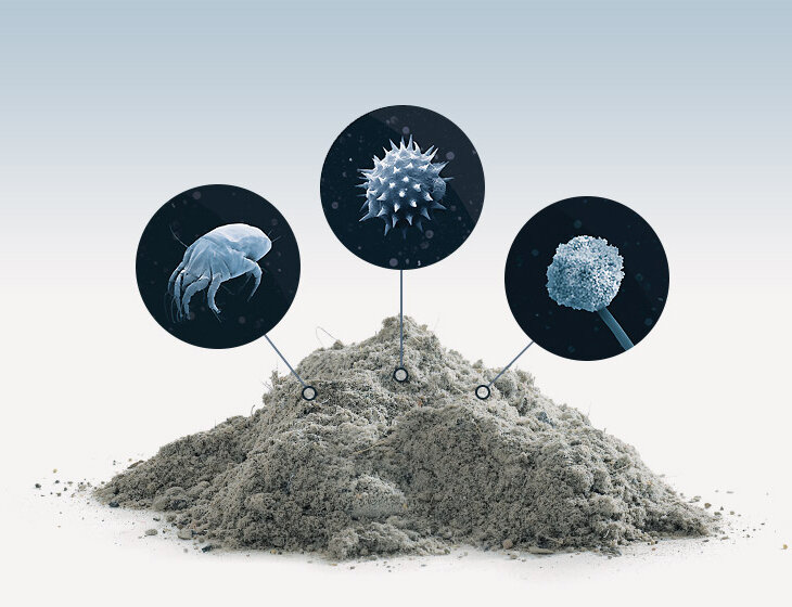 Домашняя пыль содержит аллергены: пылевых клещей, пыльцу растений, споры грибков