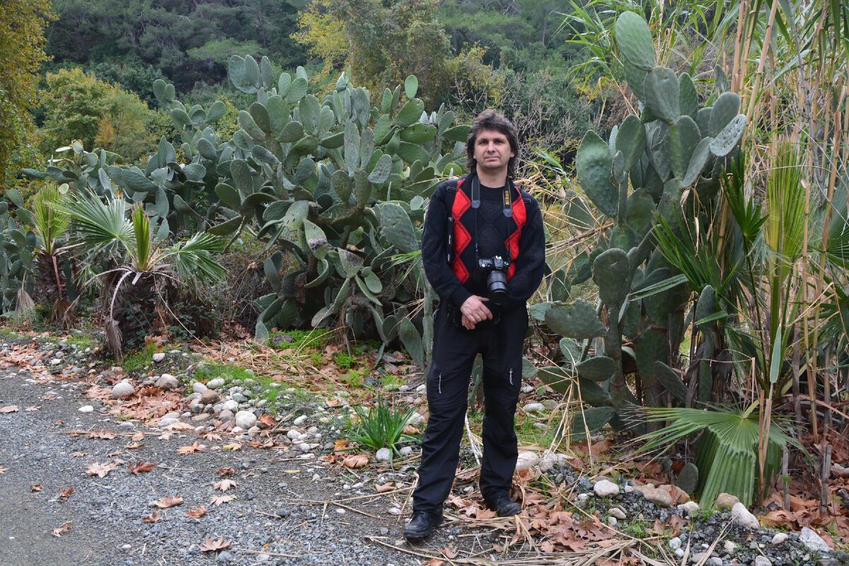 Опунции тут выше человеческого роста