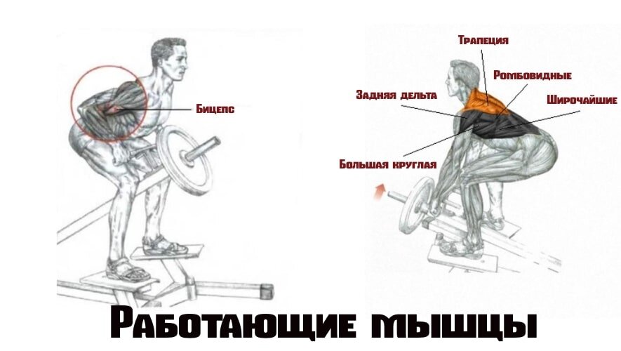 Тяга т грифа в наклоне - техника выполнения и советы