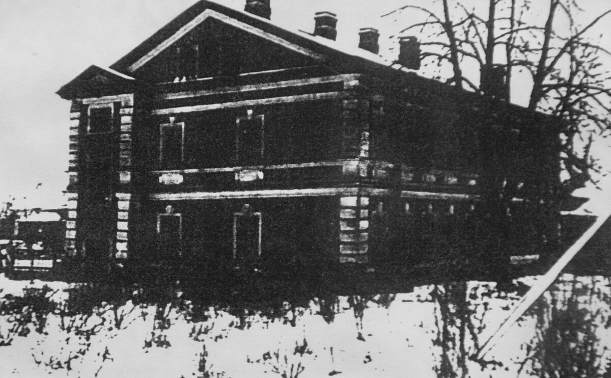 Парголовская школа 