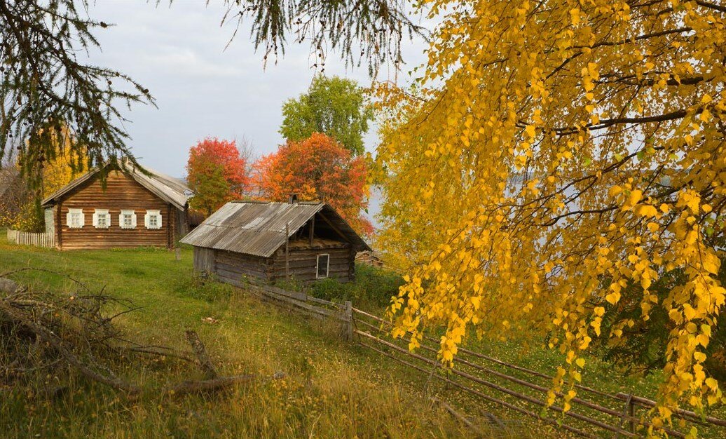 картинка загружена с поисковика яндекс картинки