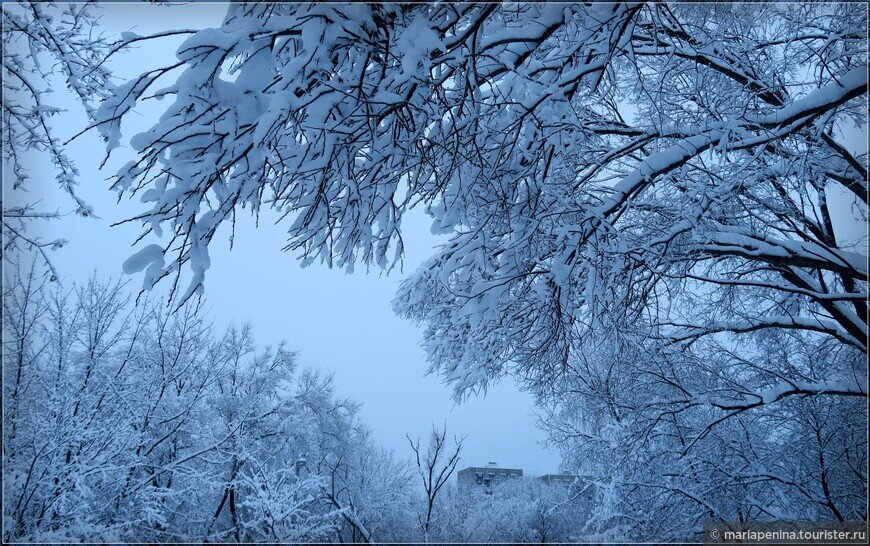 Песенный снегопад. Снег кружится. Такого снегопада кто исполняет. Такого снегопада давно. Песня такого снегопада давно.