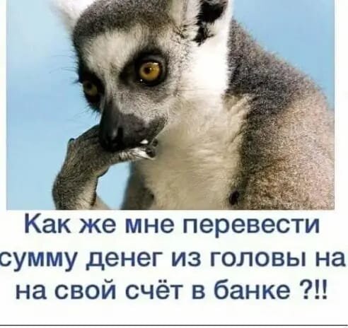 Фото из сети Интернет