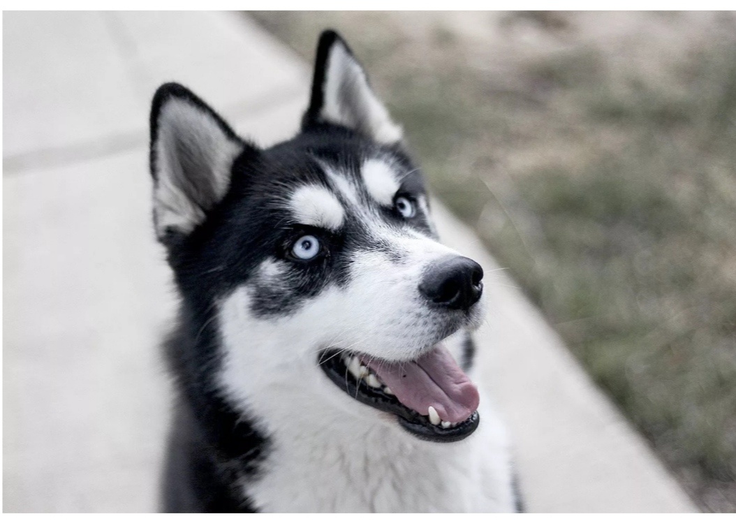 Такая же красавица была... 