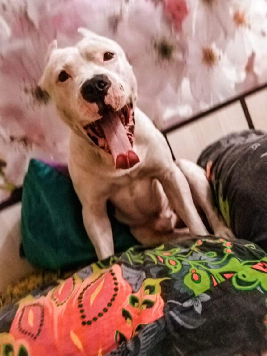 Не вредные советы