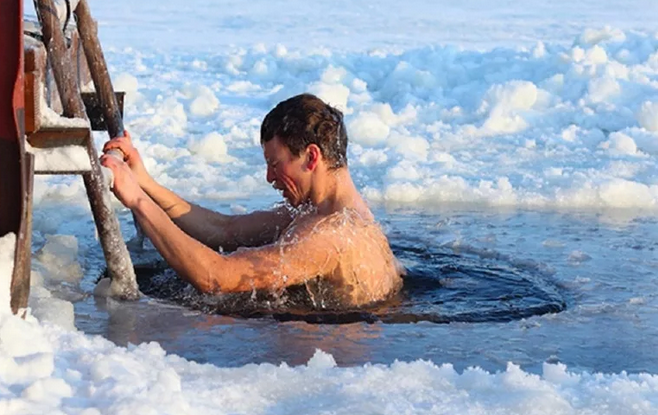 Яндекс картинки в свободном доступе