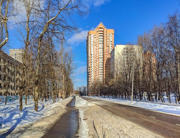 Свежий морозный воздух обжигает ... Скрип прежде  неслышных шагов оглушает ... Манит сладкою дрёмой теплый плед и диван  ... Праздник ...

Зимний день ... Москва ...

  