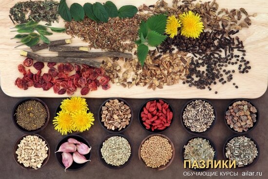 Фотоиллюстрация курса по оздоровлению