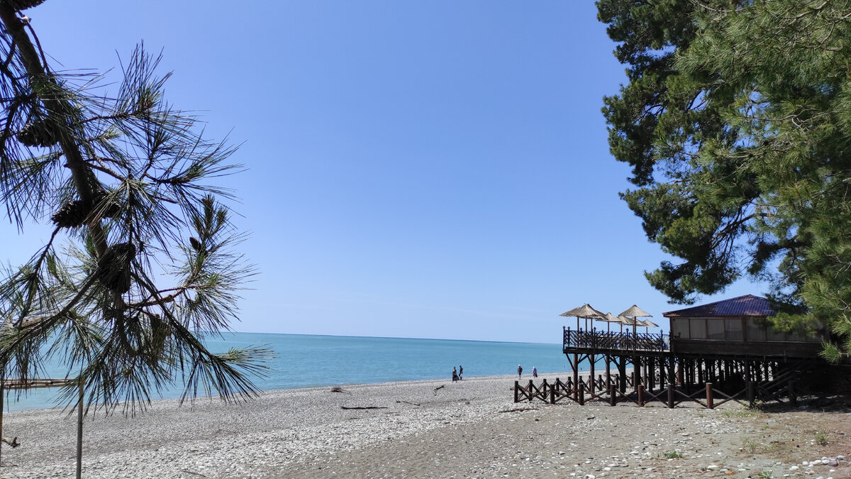 От сосен в Пицунде по всему пляжу идет очень приятный запах. Фото автора