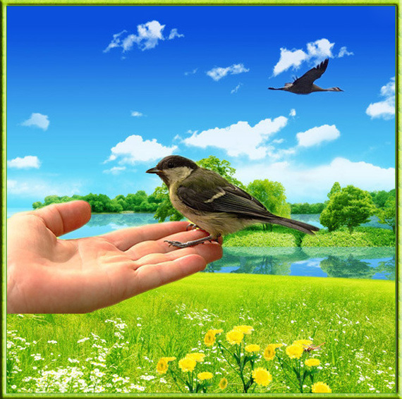 Из открытых источников.