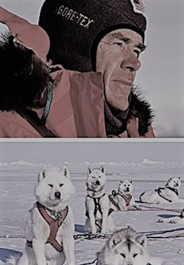 Уилл Стигер и собаки