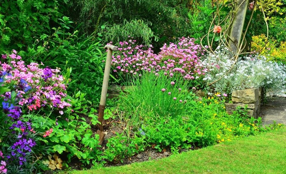 Изображение взято с сервиса Яндекс Картинки