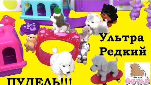 Жевательные игрушки для собак онлайн | Petee