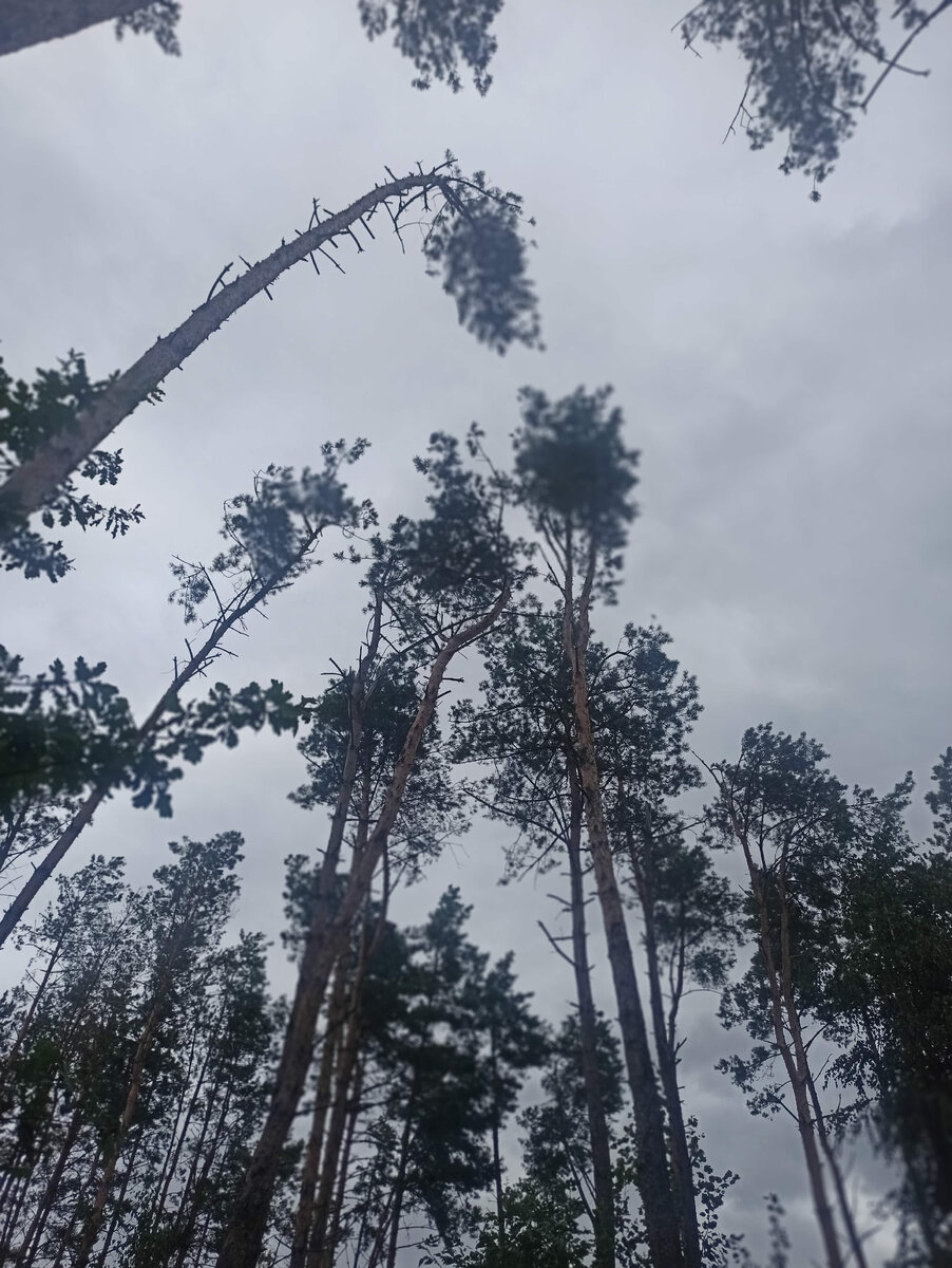 Мир прекрасен