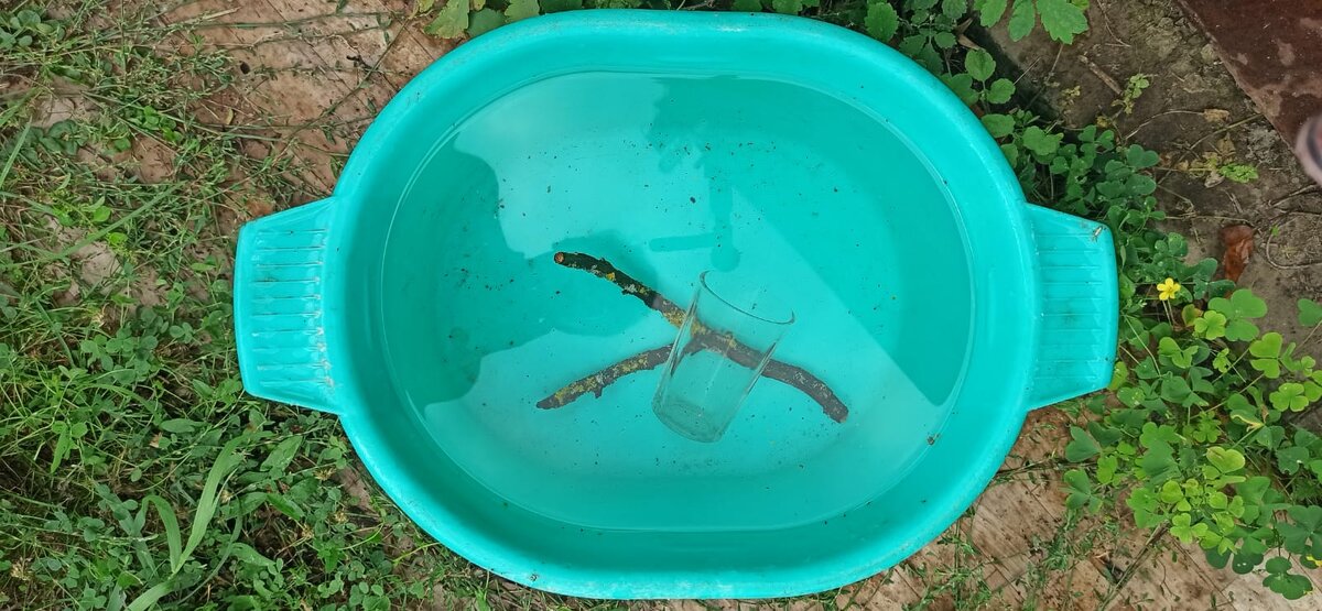 Замачивание~