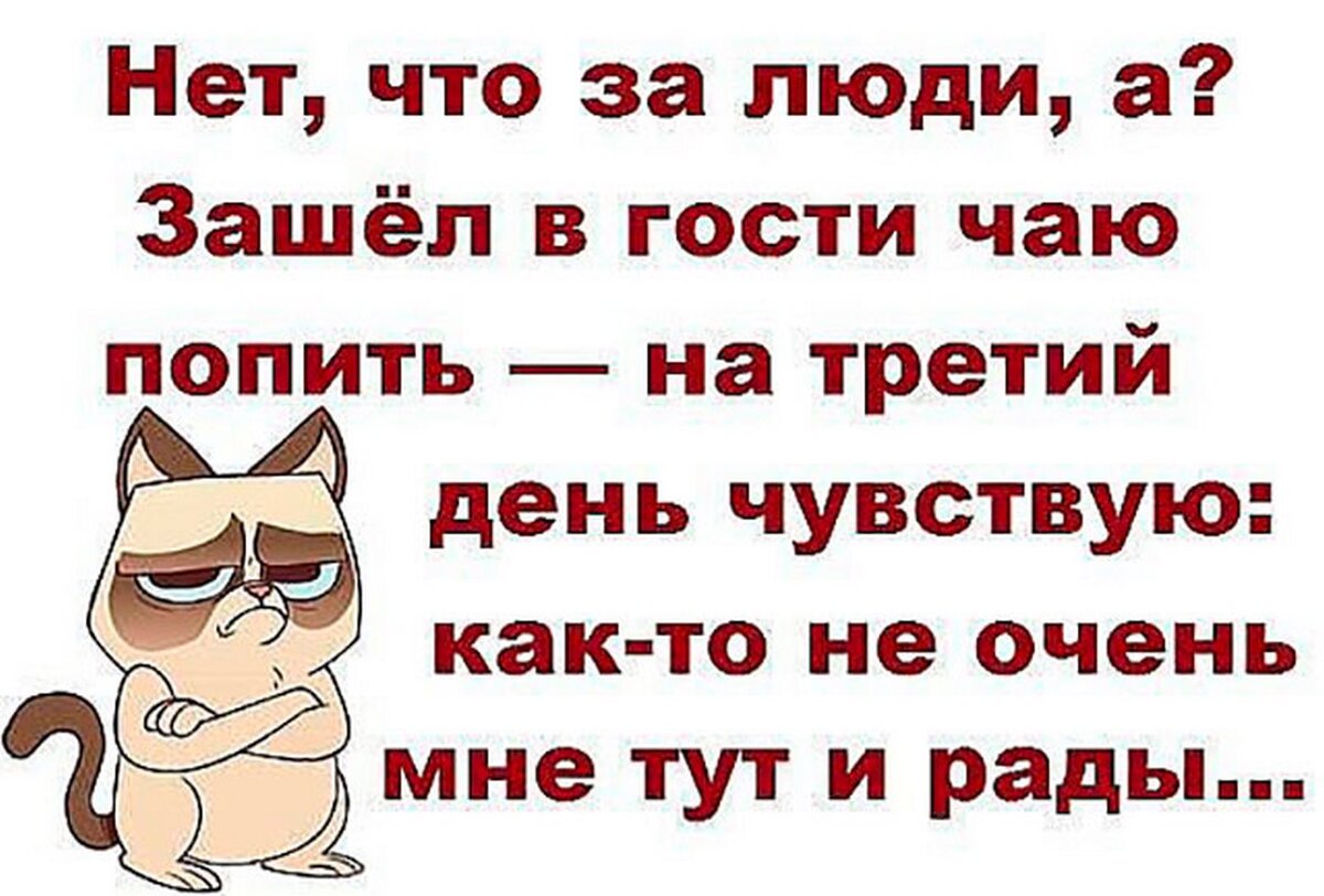 яндекс картинки