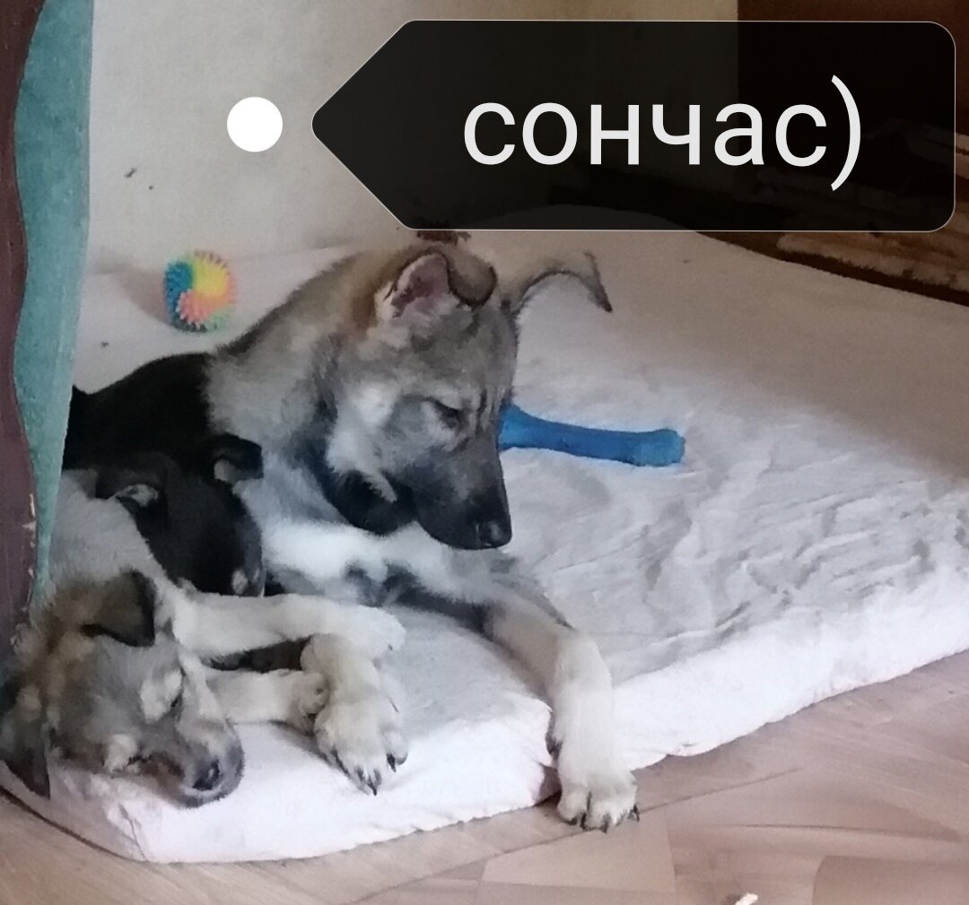 Детки спят