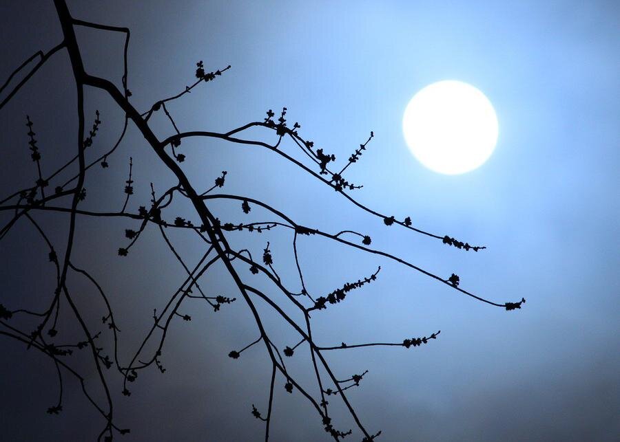 Фото: pixabay.com