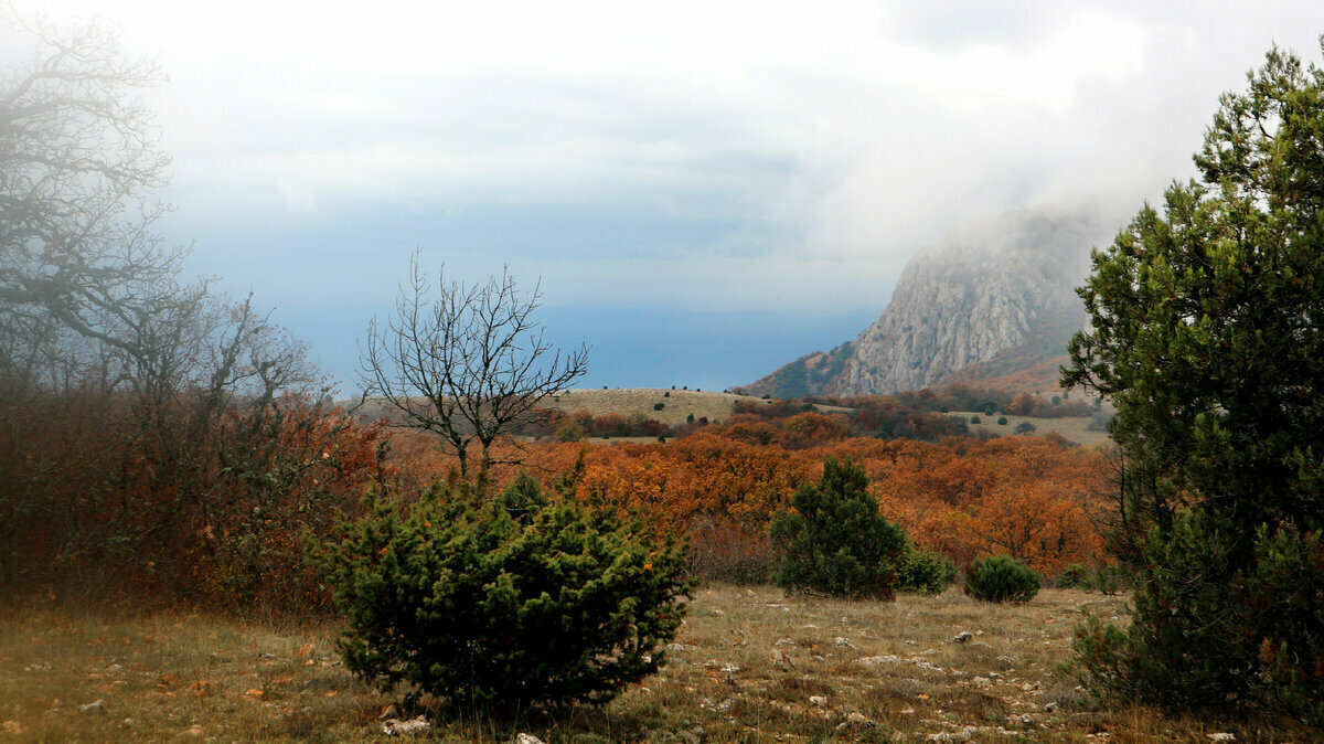 Добавьте описание