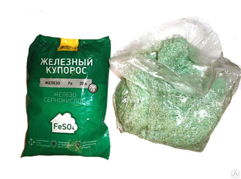 фото из открытых источников.