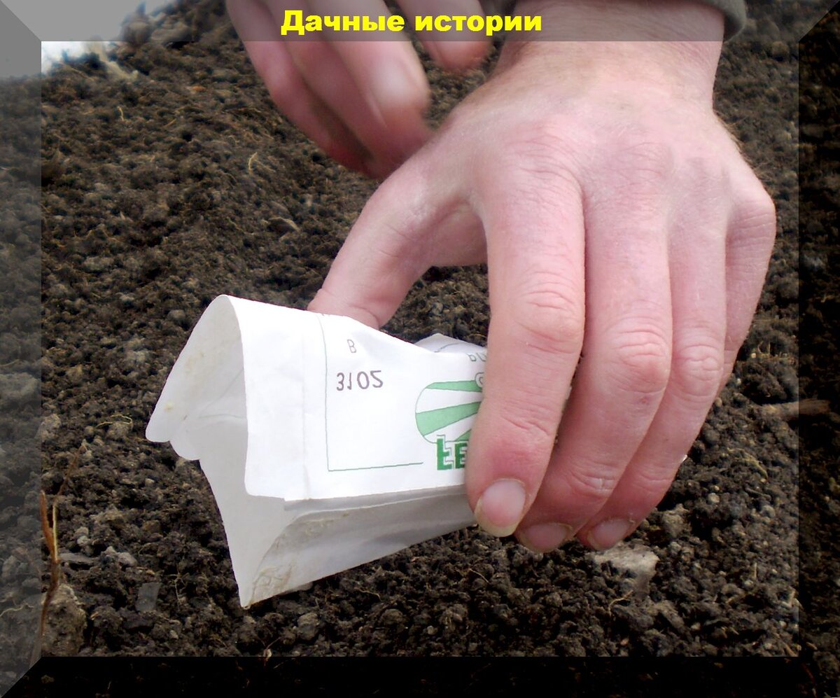 https://vk.com/photo-159774511_457249898
