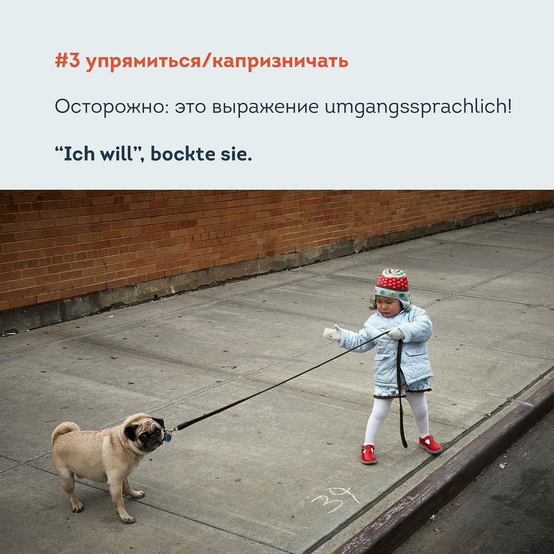 5 значений немецкого глагола bocken