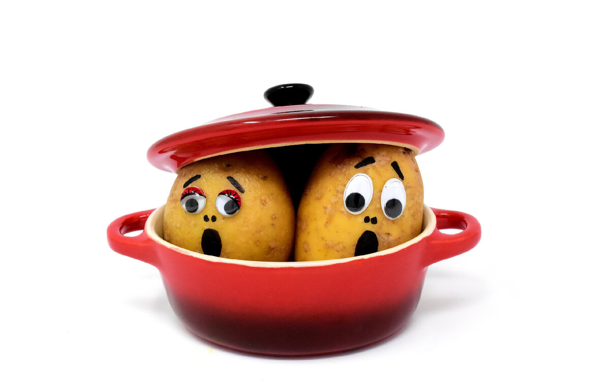 Фото автора Alexas_Fotos https://pixabay.com/photos/fear-horror-potatoes-cooking-pot-3117823/