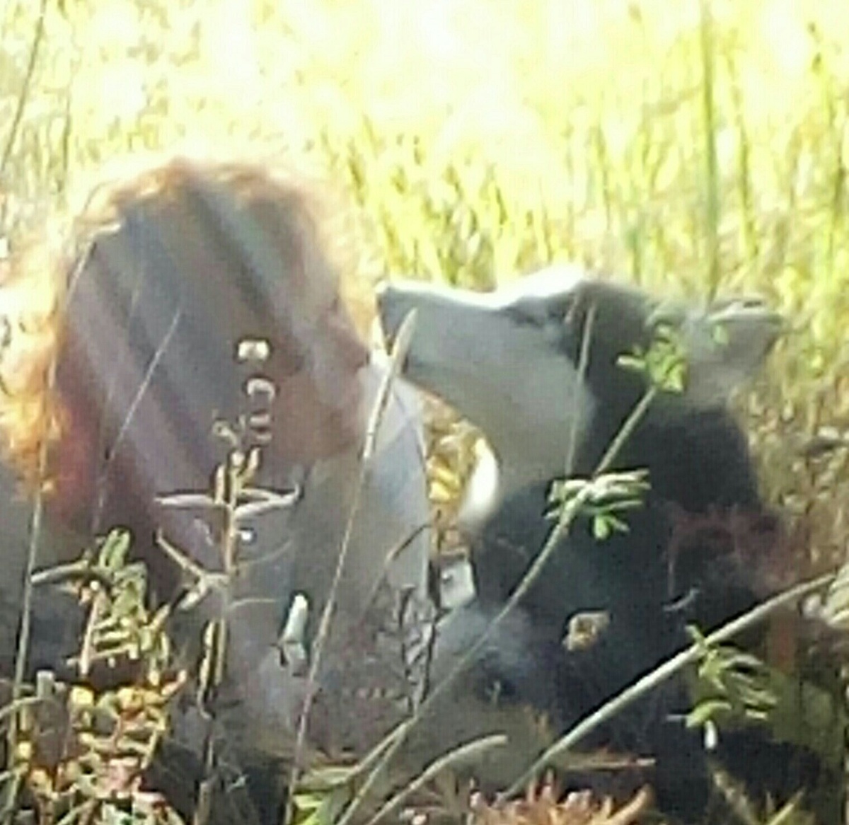 Вот так мне ещё комфортнее))) На фото автор