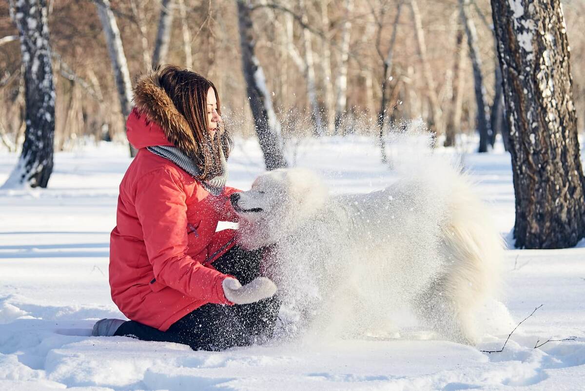 снежком закидаю