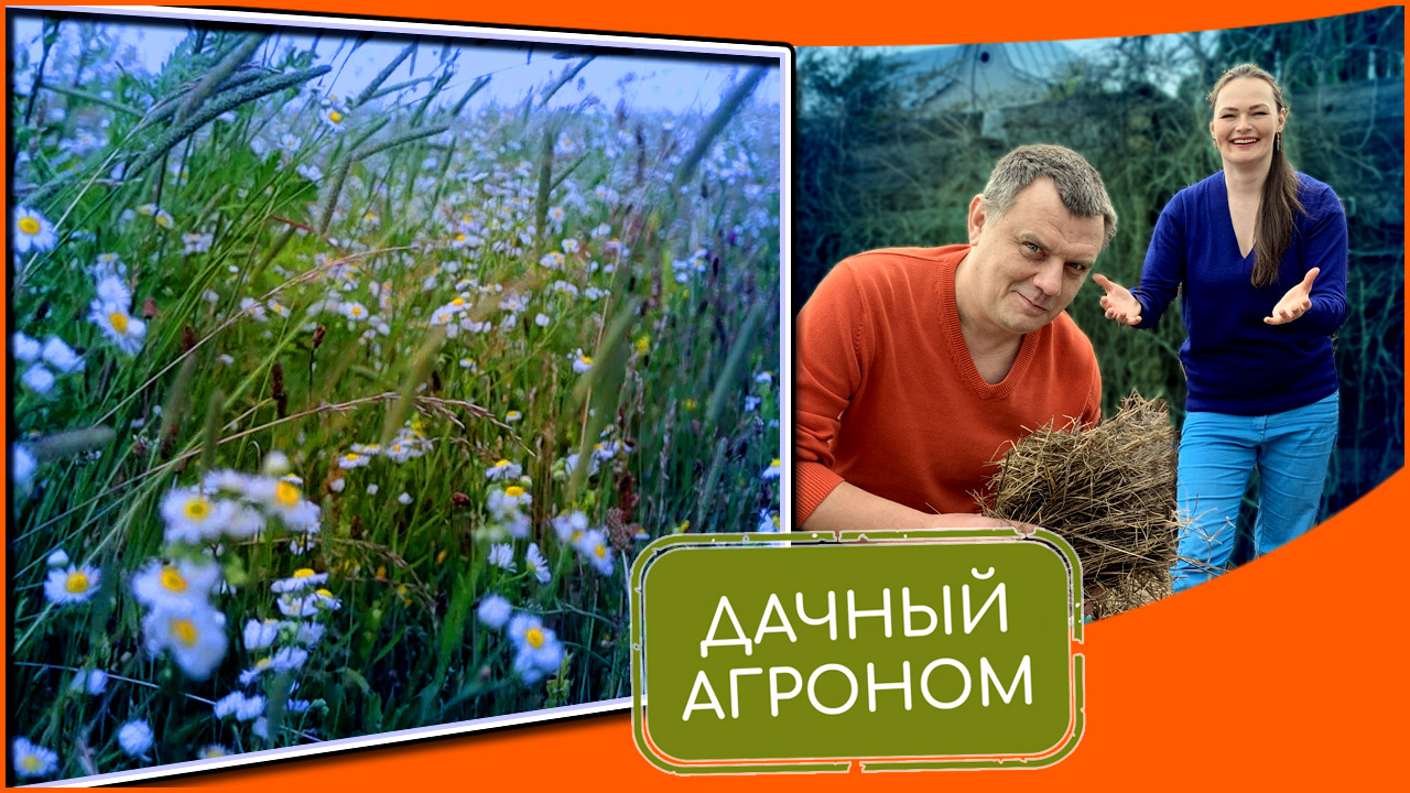 Улучшение почвы