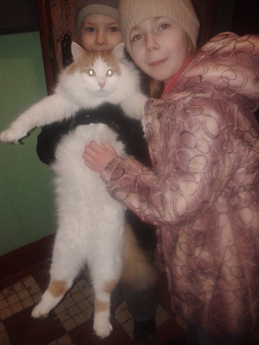 Это кот Тимоша и средненькие дети двуногих. Они обожали этого кота, а он их. А потом его отдали в Краснодар кому-то в частный дом. Интересно, что он помнит о жизни в семье двуногих?