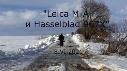 С.В. Савельев. Leica M-A и Hasselblad 907X - [20210408]