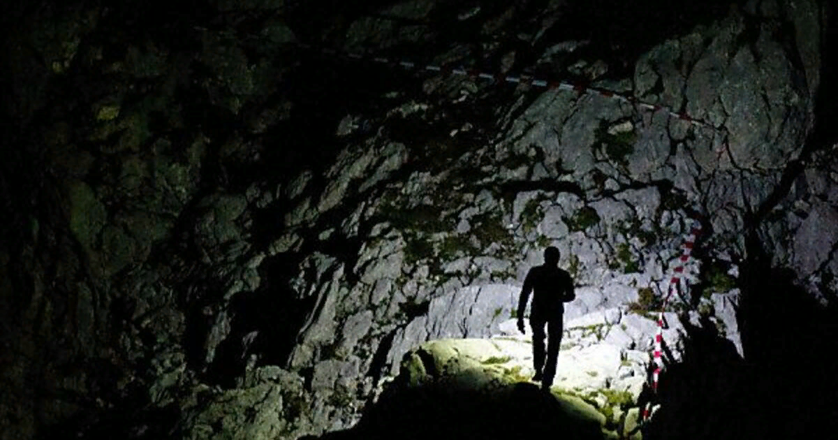 фото с сайта https://clck.ru/h3g7z