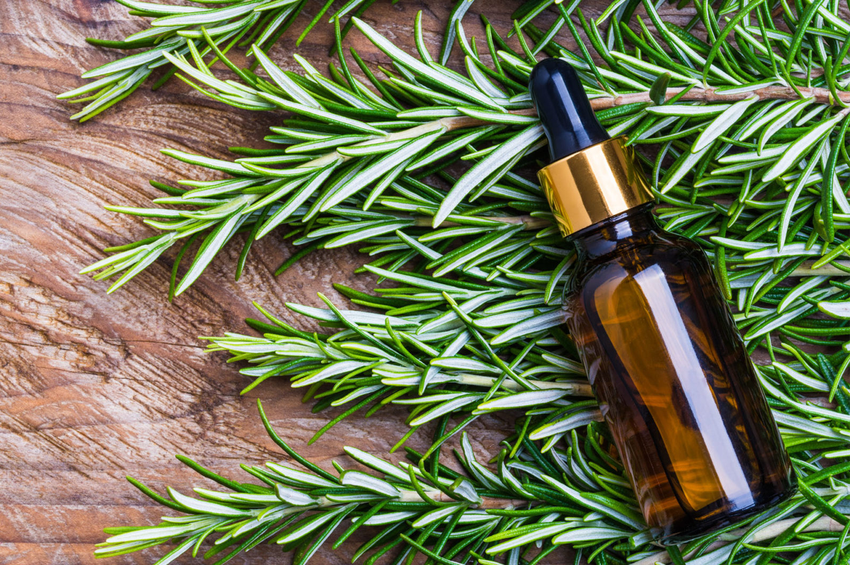 Источник картинки - https://clck.ru/pytE3