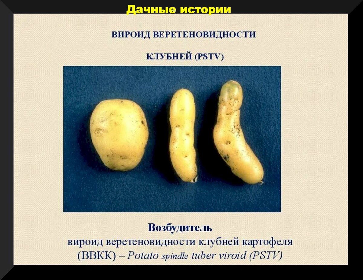 https://vk.com/photo-159774511_457254280