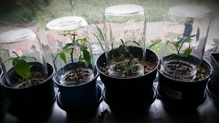 Добавьте описание