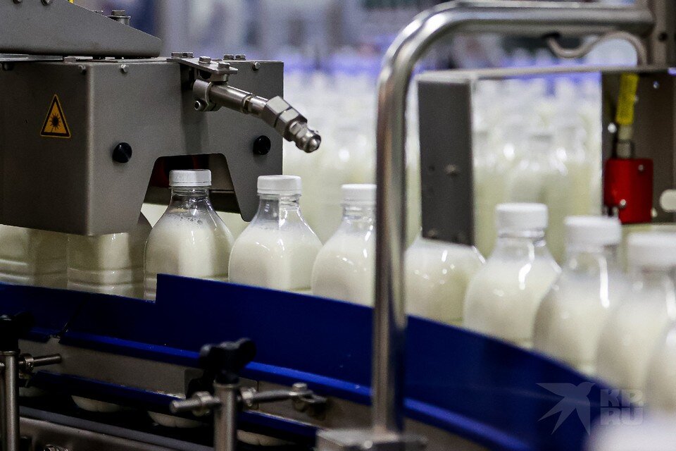     В детские лагеря Рязанской области поставляют фальсифицированную молочку. Денис КОРАБЛЕВ