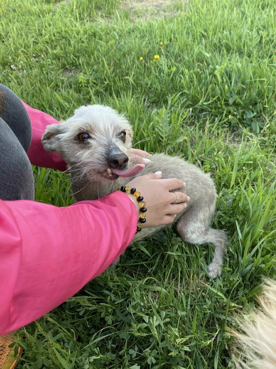 Наша первая встреча с Тошей