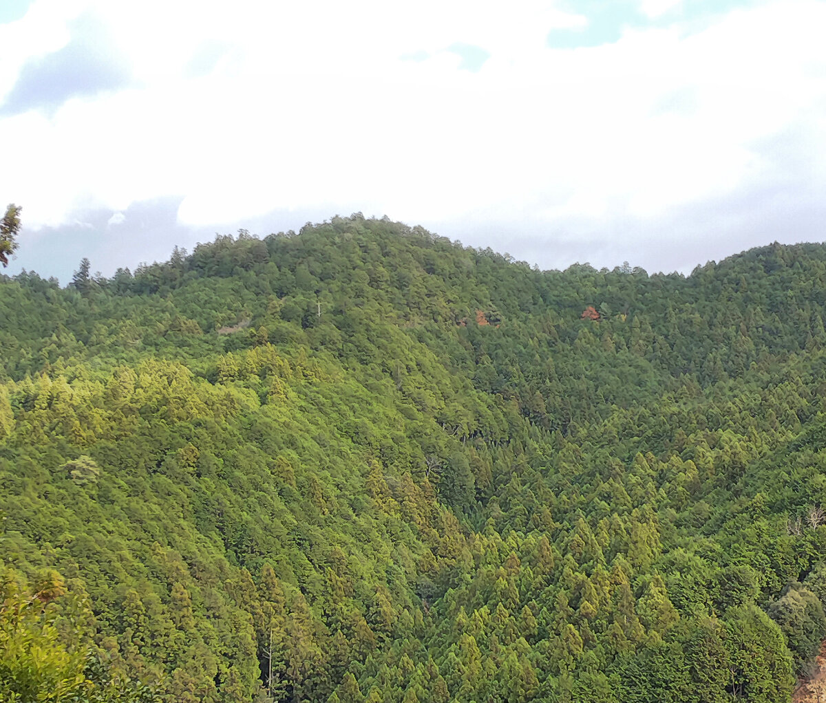 Горы Ёсино (фото автора)