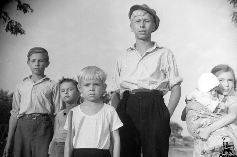     (1960). .