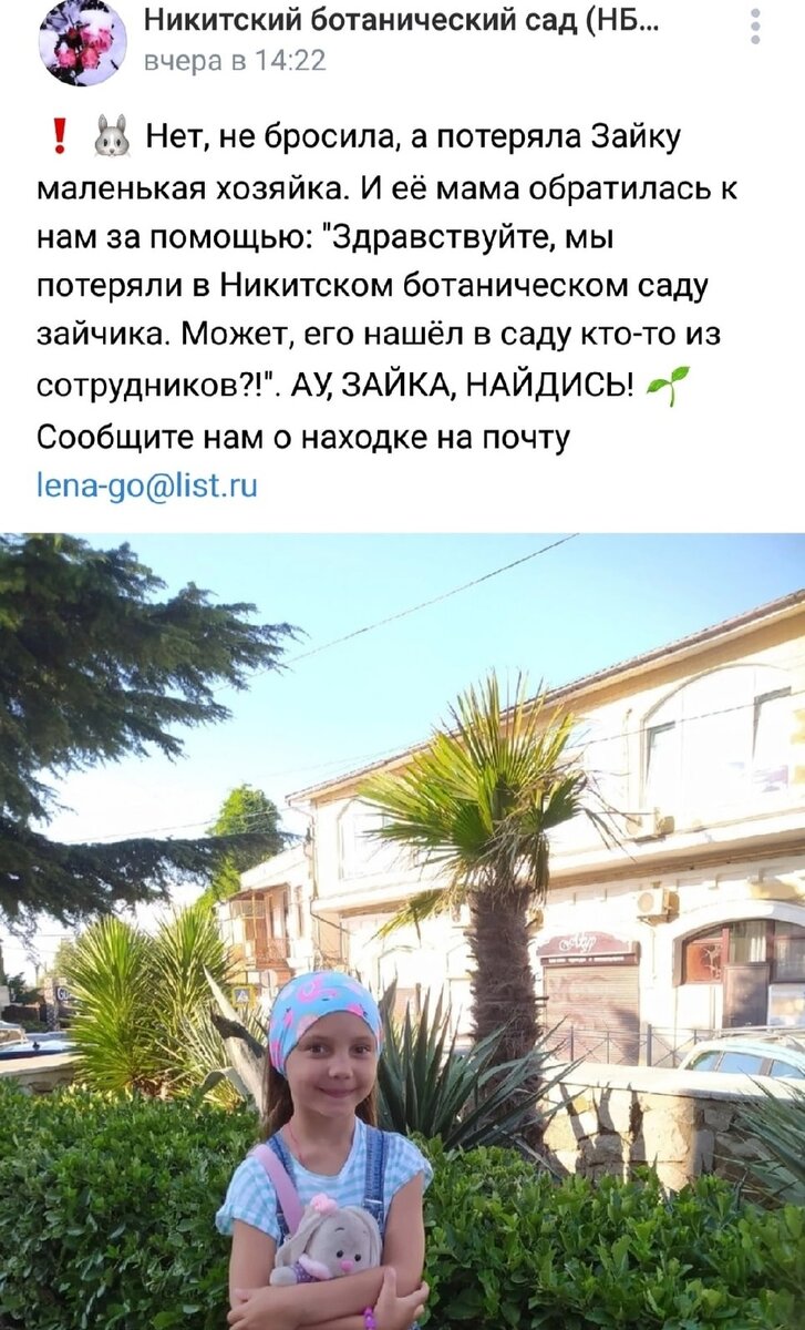     В соцсети появился пост о потеряшке. Фото: скрин страницы Никитский ботанический сад (НБС-ННЦ РАН)/VK