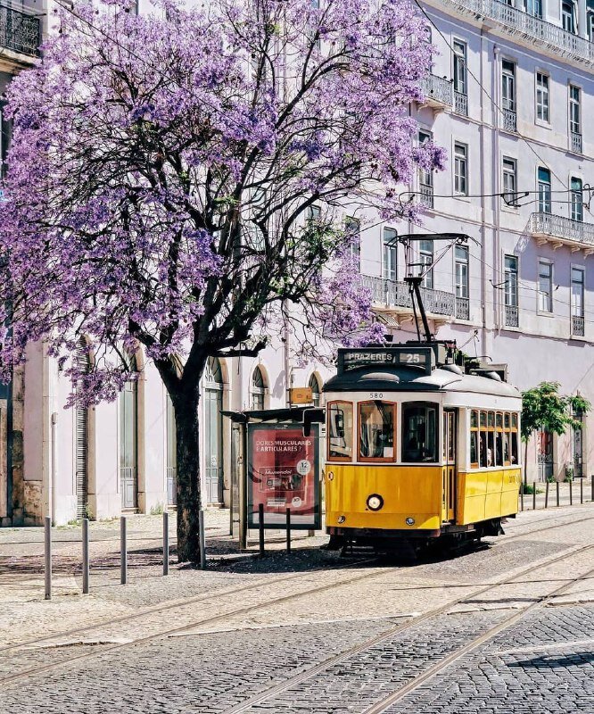 Лиссабон, Португалия