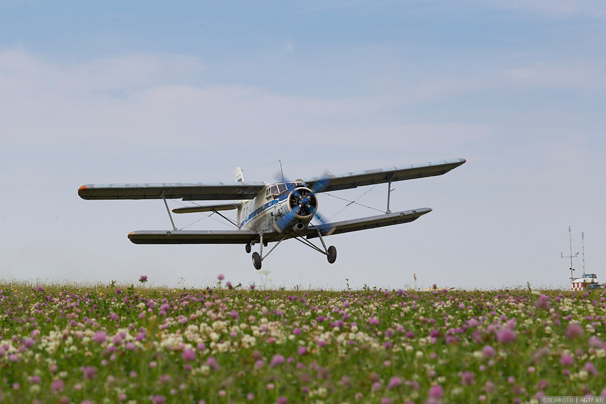 фото яндекс