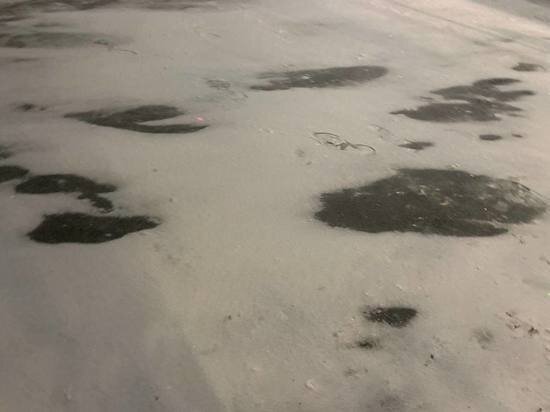     Фото: МК в Туле